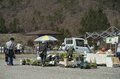 まさに見頃！「一目十万本！ 日本一のあんずの里」に春が来た！ ピンクに染まる山里の景色 【第67回あんずまつり】2022年の画像004