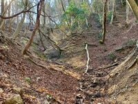 ユニーク山名「宮指路（くしろ）岳」の意外な由来とは！？  秋こそ行きたい鈴鹿山系「亀山七座トレイル」最高峰「仙ヶ岳」登山レポ