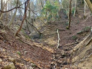 ユニーク山名「宮指路（くしろ）岳」の意外な由来とは！？  秋こそ行きたい鈴鹿山系「亀山七座トレイル」最高峰「仙ヶ岳」登山レポ