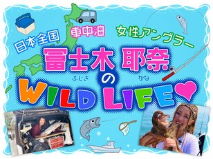 北海道の岸壁で遭遇した驚きの光景！ 車中泊女性アングラー「冨士木 耶奈 の WILD LIFE 」遠征釣行時の楽しみ方【連載 #3 北海道 釧路編】