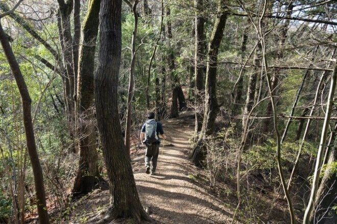 【大人気の高尾山ハイキング】混雑を回避する “静かな尾根道”「南高尾山稜」への画像001