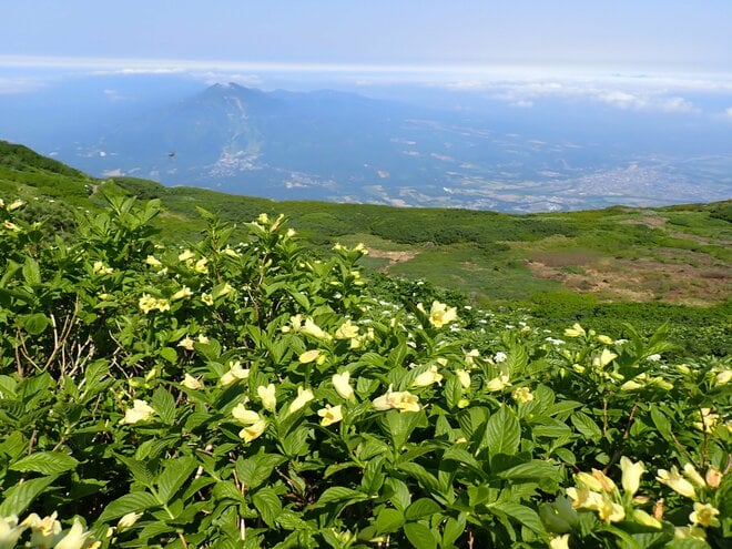 【北海道の山】ニセコの百名山、別名 “蝦夷富士”「羊蹄山」へ登ってみよう！  2025年の画像003