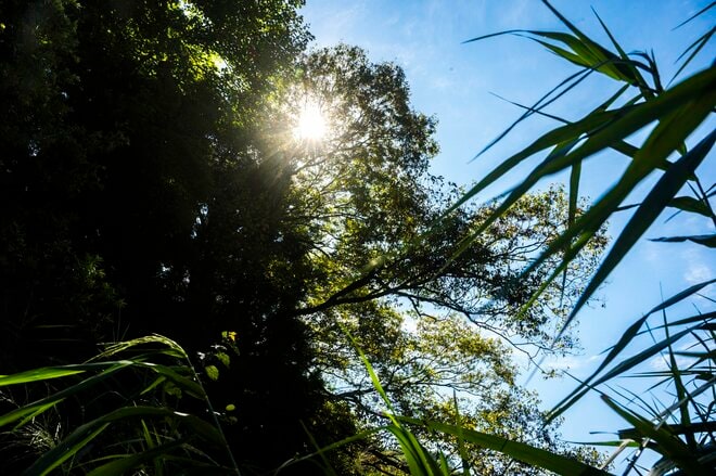 【渓流釣り】いよいよ禁漁迫る！ 「ひと夏越えて成長したプロポーション！  山女たちの顔を見に馴染みの場所へ」　新潟県｜2026年の画像002