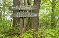 風薫る季節！ 絶景が連続する 「伊那谷を望む大城山、チコちゃんのゼロポイント、日本のど真ん中を抜けて爽快なグラベルロードを走る」 諏訪湖を見下ろす展望台と伊那谷を一望できる、見どころ満載のサイクリング 【長野県辰野町】 2025年の画像007