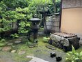 苔と深緑に魅せられる京都・幽翠の地3選の画像010