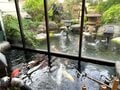 北海道・函館サウナ「実地レポート」！  最強クラスの銭湯「花園温泉」とキンキンに冷えた水風呂がある「谷地頭温泉」の驚異のスケールの画像007