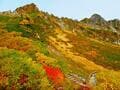 日本百名山「木曽駒ヶ岳」千畳敷カールの「秋の絶景」！  ロープウェイでアクセス・まるで「天空の庭園」色彩に感動！  ライチョウにも“大遭遇”「登山レポ」の画像001