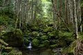 【また来たくなる山小屋】八ヶ岳登山のベース基地に最適「オーレン小屋」 ただ泊まるだけでない “輪（和）” 広がる、おもてなしの心溢れる山時間！ の画像004