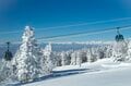 「どっち向いても・どこ撮っても絶景かよ」志賀高原 焼額山スキー場の雪景色！ “シーズン一番” 奇跡の一日【The Day】上信越高原国立公園・長野県の画像005