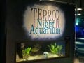 意味がわかると怖い “生き物の秘密”  池袋サンシャイン水族館 夜間特別営業「TERROR Night Aquarium」開幕（編集部レポート）の画像002