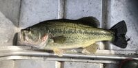 釣りの上達「早い人・遅い人」の違いとは！？ 釣具店スタッフ「顧客対応」で分かった「それぞれの共通点」＆有力「フィールド情報」入手ワザ！ レポート