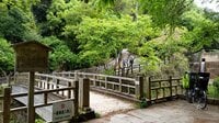 世界文化遺産の山「比叡山」京都・雲母坂から「延暦寺」東塔へ「古道の登山」レポート