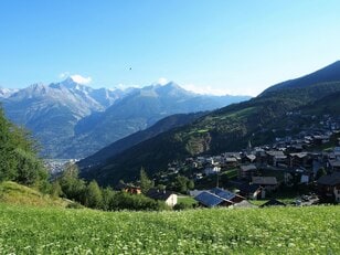 “海外入手困難”のヨーロッパの最高峰・スイスアルプスのワイン「ハイダ」はツウもうなる絶品！