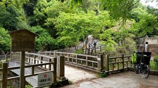 世界文化遺産の山「比叡山」京都・雲母坂から「延暦寺」東塔へ「古道の登山」レポート