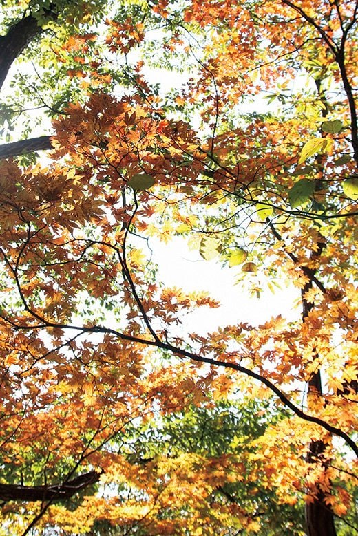 日帰りで！【奇岩・巨岩を見に行く山歩き vol.1】 筑波山（茨城県）・ 妙義山（群馬県）の画像008