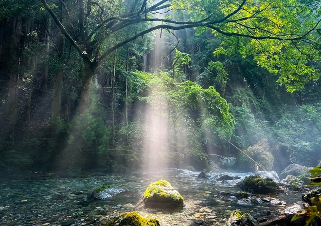 「本質的なサウナとはなにか？」 その問いから生まれたサウナ村の物語【ユーコンカワイのシン・サウナ村建設記 vol.14】の画像002