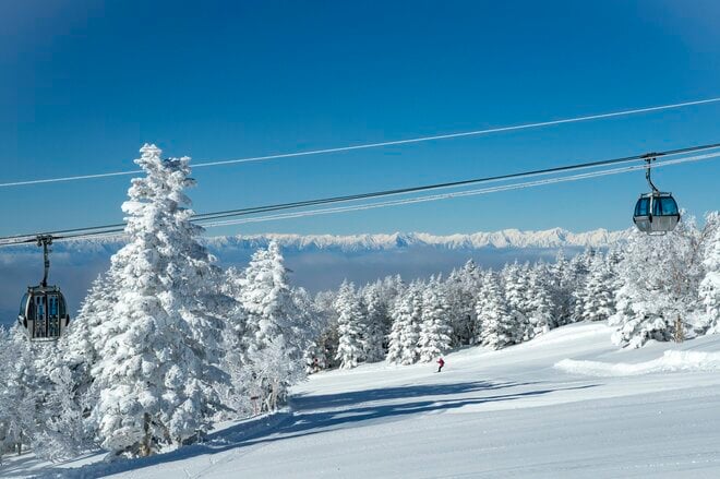 「どっち向いても・どこ撮っても絶景かよ」志賀高原 焼額山スキー場の雪景色！ “シーズン一番” 奇跡の一日【The Day】上信越高原国立公園・長野県の画像005