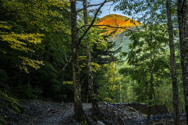 【登山】ここ数年で一番の美しさ「南アルプスの貴公子と女王の山岳紅葉」 日本の1-2-3位の高峰を望む  南アルプス・2025年の画像003