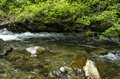 【渓流釣り】たまには道具を変えて挑戦！「楽しかった渓流ルアーフィッシング」 新潟県糸魚川市 2025年の画像003