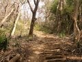 「冬のハイキング」に向く山の条件とは？  都心からもアクセスしやすい茨城県「雪入山」から眺める「絶景の筑波山」の画像002
