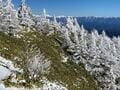 日帰りで登れる冬山「南アルプス・大川入山」の絶景！ 10年通いライター満喫「晴天＆樹氷」フォト登山レポの画像001