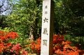 「ツツジ」満開の東京 江戸の情景に満ちた庭園を色鮮やかに染める春の絶景「根津神社」「六義園」【東京都 文京区】の画像012