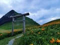 国内で見られるのは2か所だけ！  佐渡島「トビシマカンゾウ」大群落＆「世界遺産」目指す名所とは？  1泊2日「大野亀ツーリング」レポの画像004