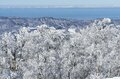 「ブナの森に咲く雪の花」が美しすぎるとSNSで話題！  標高差789ｍを最新型ゴンドラで「霧氷の世界」へ！  信州・野沢温泉スキー場【2021・初冬】の画像006