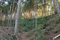 NHK大河『どうする家康』が100倍面白くなる！ 「徳川家康」父祖の地に残る「松平城」を歩く＜後編＞（奥三河・松平郷／愛知県豊田市）【家康ゆかりの山城を攻める vol.2】の画像004