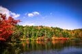 【紅葉登山】スッキリ青空！  紅葉と水面が描く絶景のコントラストに “雲海” の演出が素敵な「白駒池」 長野県北八ヶ岳・2024年の画像006