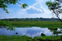 「初心者も安心」な散策路完備！  ひと足早く「秋の気配」を感じる高層湿原の旅＜鷲ヶ峰＆八島ヶ原湿原編＞【今日も山旅気分 vol.8】