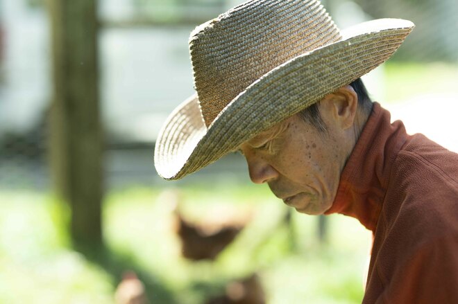 標高1,100mの農場で鶏を“平飼い”放牧！ 本当においしい卵は心身ともに健康で元気な鶏から産まれる！「やまなしアニマルウェルフェア認証制度」取材ルポ【山梨県 2022】の画像011