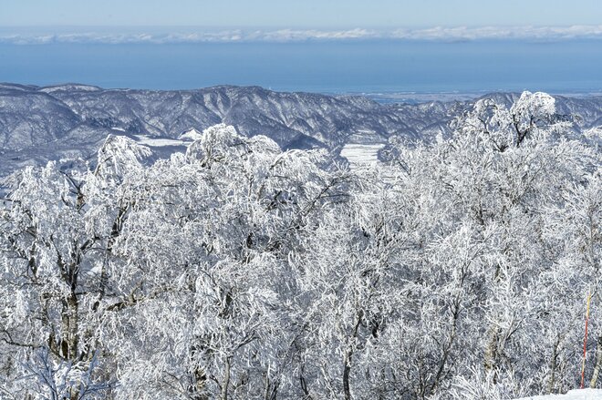 「ブナの森に咲く雪の花」が美しすぎるとSNSで話題！  標高差789ｍを最新型ゴンドラで「霧氷の世界」へ！  信州・野沢温泉スキー場【2021・初冬】の画像006