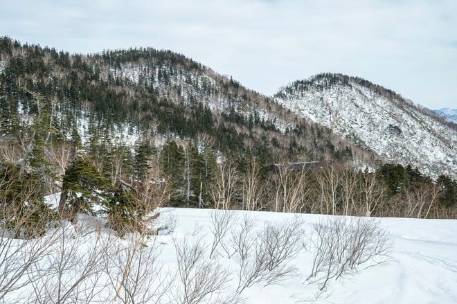 【バックカントリー】まずは足慣らし！  シーズン始めは道具のチェック、ゲレンデ滑走を入念に「シーズン始めに注意したいこと」 長野県｜2025年の画像006