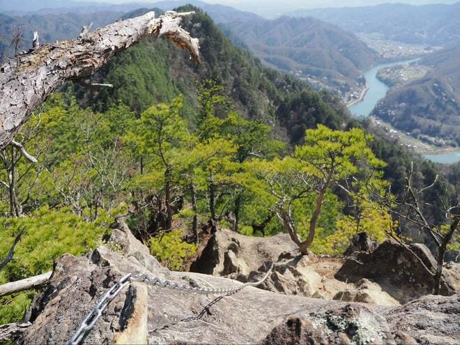 【信州の絶景低山「京ヶ倉」】4月は「ヒカゲツツジ」と「雪化粧の北アルプス」の限定コラボ！  “グランドキャニオン級” 犀川の展望を楽しむ春ハイキングの画像007