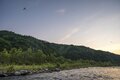 【渓流釣り】まるで水生昆虫の見本市！ おびただしい数の虫たちにライズがボコボコ、銀ピカ砲弾ヤマメがロッドを絞る  「感動的な初夏の川辺のシンフォニー」 “千曲川水系” 新潟県・2024年の画像007