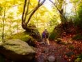 紅葉に染まる妙高の峰々に新雪が輝く！ 三段紅葉の景色が広がる「笹ヶ峰高原」 “夢見平”と“苗名滝”で秋を満喫【新潟県・2023年】の画像005