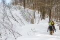 ＜長野県：斑尾高原＞天然のブランド雪「マダパウ」を徹底的に楽しむ【パウダーゲレンデガイド '25】の画像004