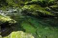 【渓流釣り】 目に染みるような緑の渓で陽光に輝くアマゴに目を細め、うつろう季節を感じながら御嶽山の裾野でフライフィッシング！ 「上流より下流の方が好釣果」  長野県・木曽川漁協エリア 2024年の画像003