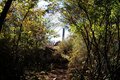 【首都圏近郊】1時間半で登頂できる山梨の隠れ名山「小楢山」紅葉の見頃はもうすぐ！の画像020