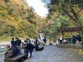 今週末の紅葉見るならどこ？　名所＆人気スポットから最新情報をお届け「WEEKLY紅葉ニュース」【2023年11月第1週】の画像006