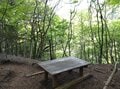 6月に訪れたい「西丹沢・檜洞丸」 シロヤシオやトウゴクミツバツツジが満開となる「ツツジ新道」絶景＆休憩ポイント他「開花前コースガイド」の画像006