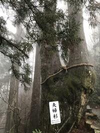 「呼ばれないと行けない」究極パワースポット？  熊野修験道の聖地「熊野三山」の奥の宮・玉置神社の神秘の姿【現地レポート】
