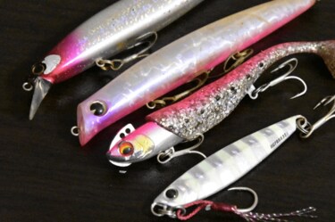 ルアー釣り 投げる 集める ホームラン の 人をトリコにする 3つの魅力とは 概要 アクティビティ ニュース Bravo Mountain