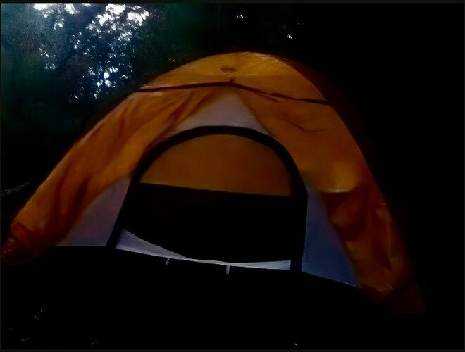 一度は行きたい！ 世界遺産「屋久島」 じっくり満喫できる、ガイド付きツアーで参加してみた！  縄文杉・白谷雲水峡・島内テント泊の神秘「現地レポ」の画像009