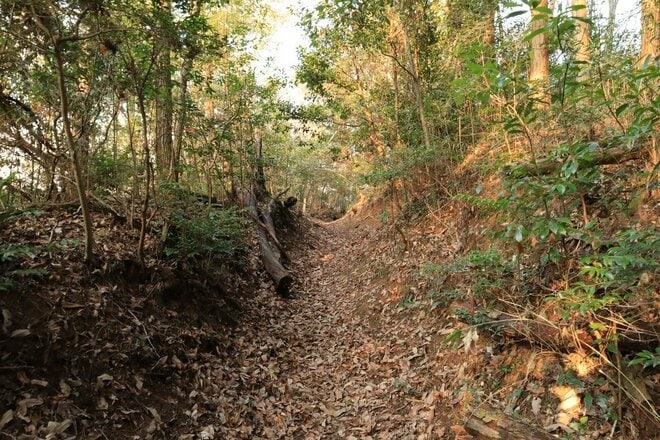 石の城と思いきや土の城だった！「安芸国・頭崎城〈後編〉」　最後に待ちうけていた驚異の “巨壁” に本気を見る（広島県東広島市）【戦国の山城を攻める vol.08】の画像014