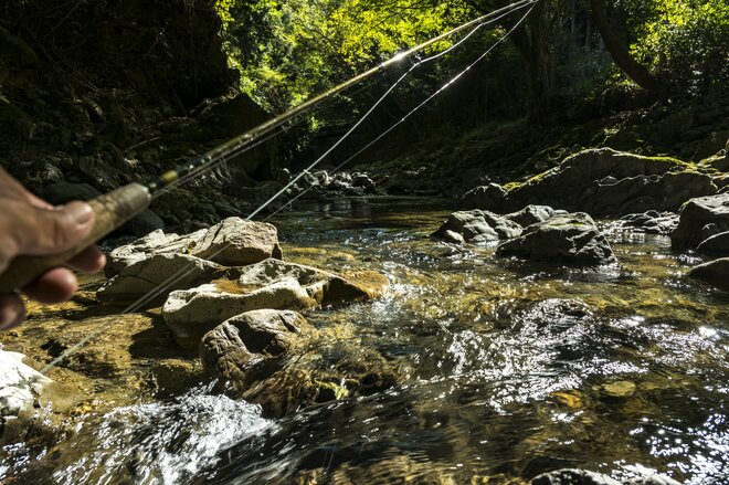 【フライフィッシング】落ちパク！  入れ食いだったのは、狙っていたアマゴじゃなかったけれど…… 「まだ渓流釣りができる幸せ！」 10月、静岡へ   2025年の画像005