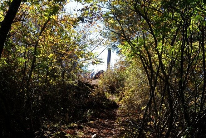 【首都圏近郊】1時間半で登頂できる山梨の隠れ名山「小楢山」紅葉の見頃はもうすぐ！の画像020