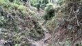 世界文化遺産の山「比叡山」京都・雲母坂から「延暦寺」東塔へ「古道の登山」レポートの画像001