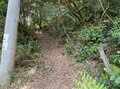 室町時代の謂れが残る大阪近郊日帰りハイキングルート「星田古道」裏山新緑トレイルの魅力【里山アドベンチャー！ソトアソ日和 vol.10】の画像006